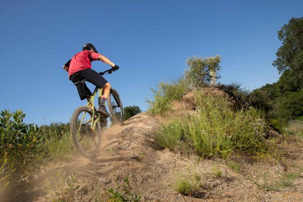 TECHNIK - SERIAL 1 SWITCH/MTN POWERED BY HARLEY-DAVIDSON