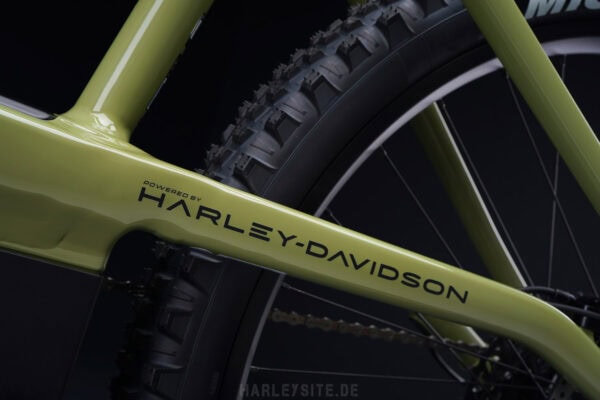 TECHNIK - SERIAL 1 SWITCH/MTN POWERED BY HARLEY-DAVIDSON