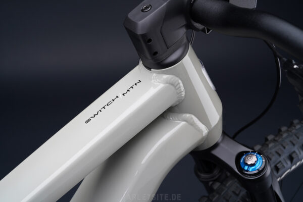 TECHNIK - SERIAL 1 SWITCH/MTN POWERED BY HARLEY-DAVIDSON