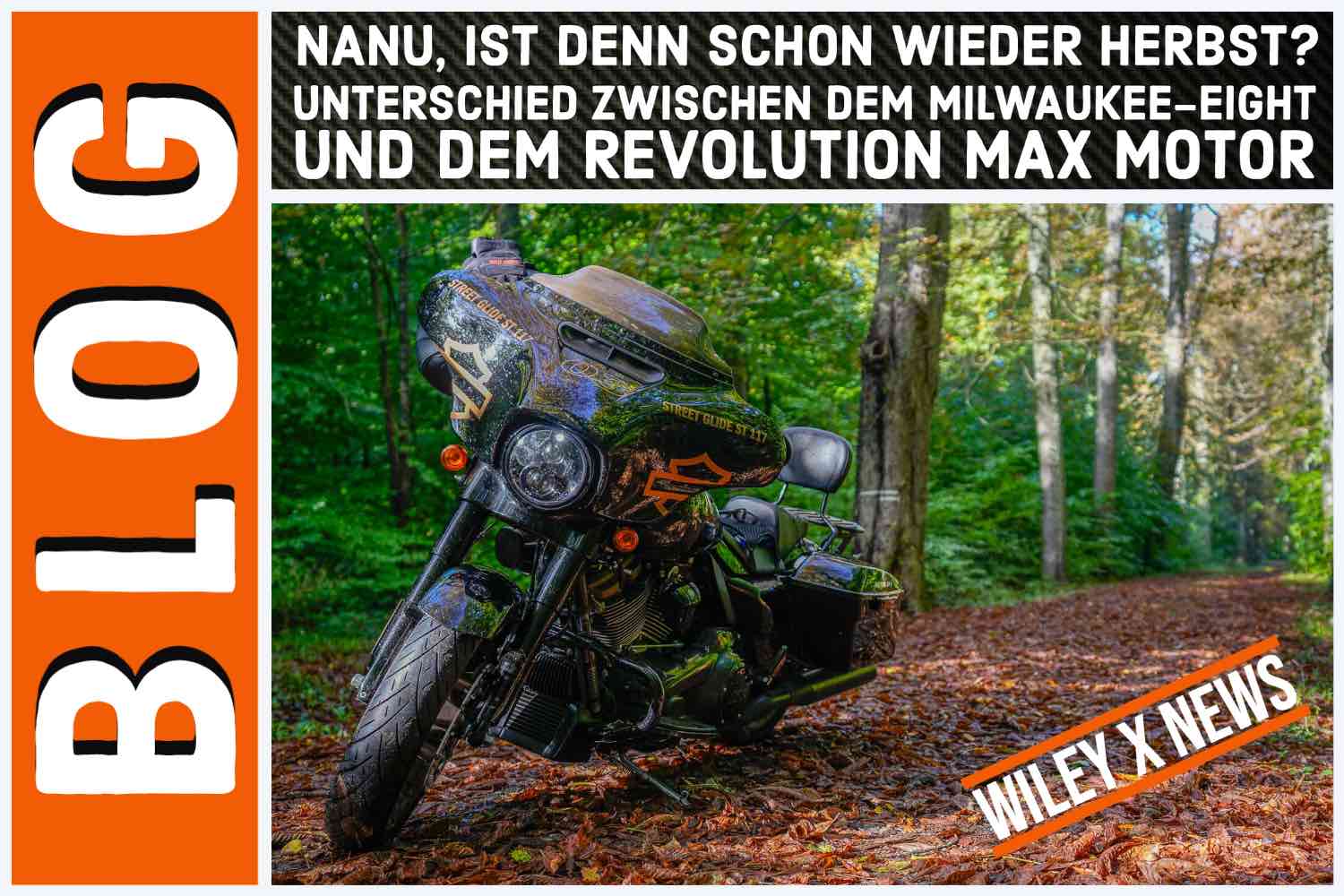 BLOG - Nanu Ist denn schon wieder Herbst