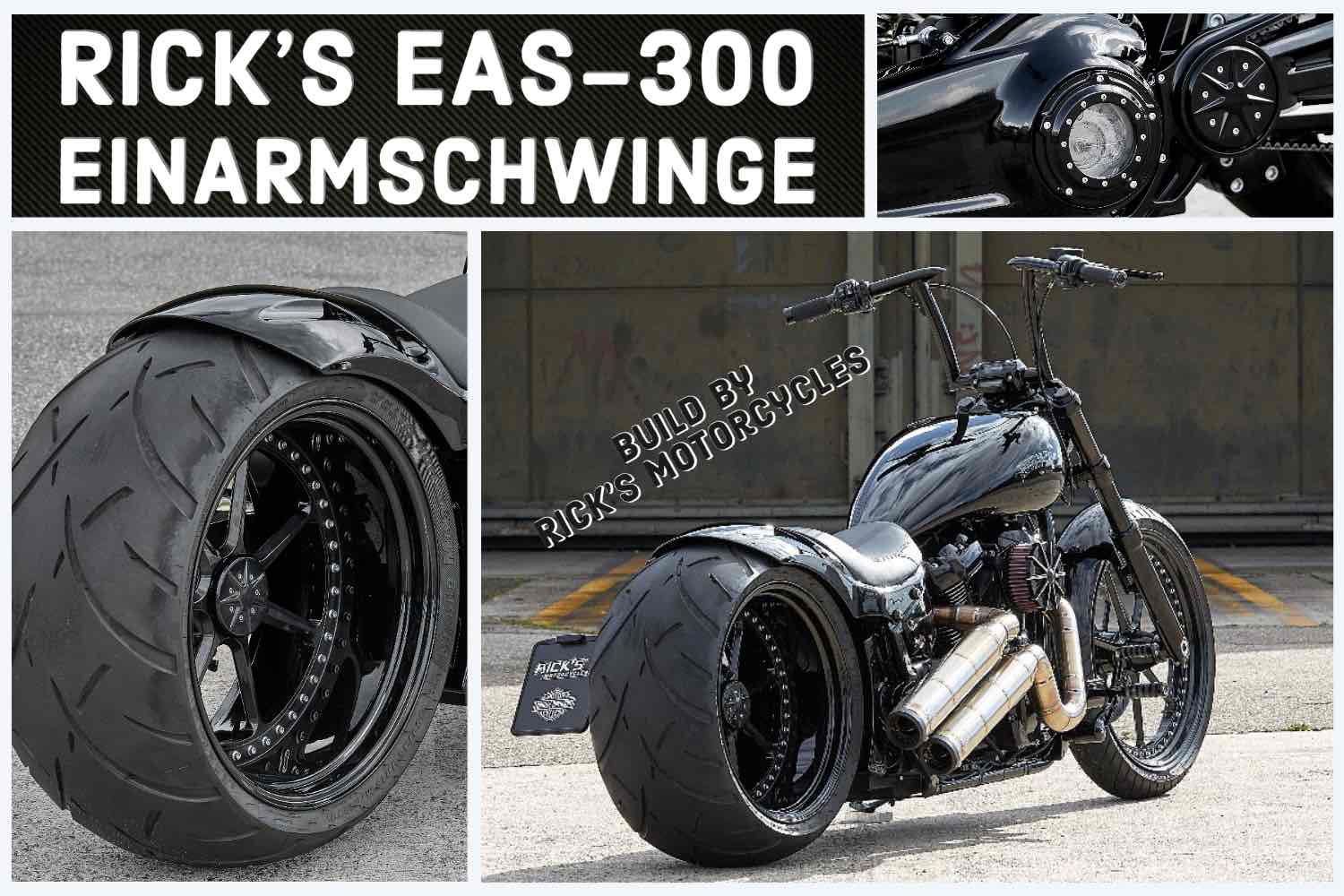 Custombikes Ricks EAS 300 Einarmschwinge