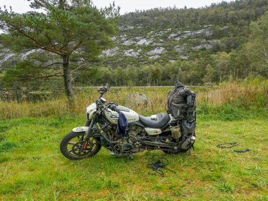 Harley-Davidson Sportster Nightster - Umbau bei Rick#s Motorcycles in Baden-Baden