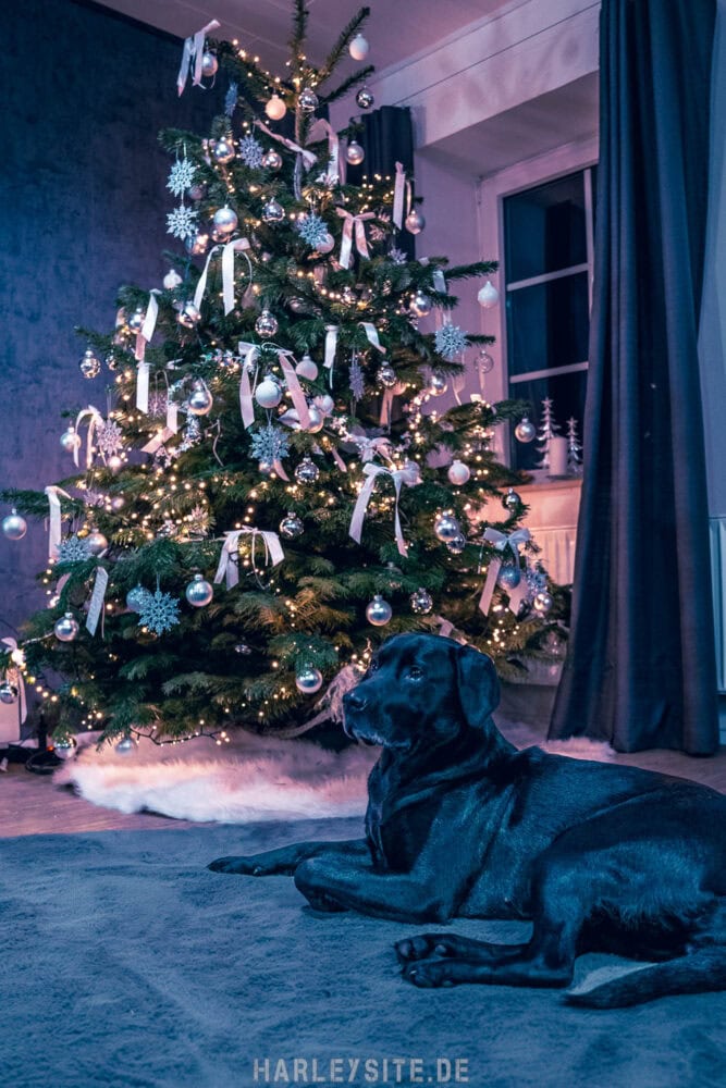 Der Harleysite Jahresrückblick 2022