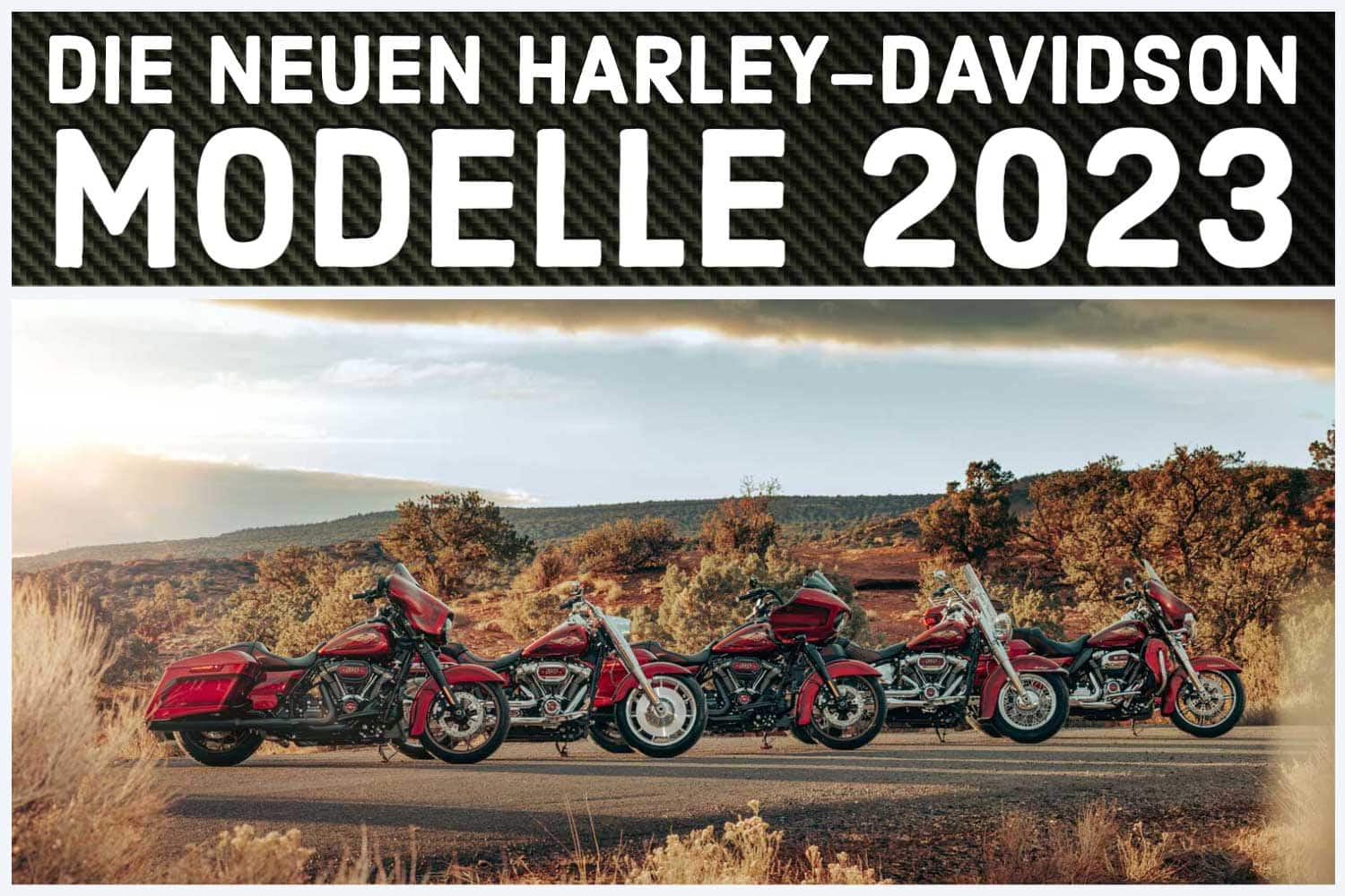 Harley-Davidson models 2023