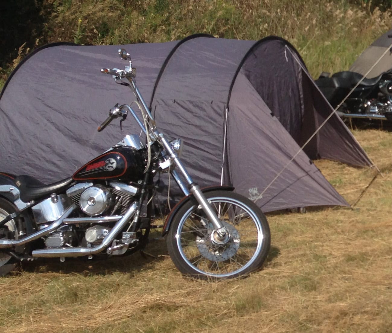 Harley-Davidson Softail 1993 Diebstahl in Hamburg Neuallermöhe