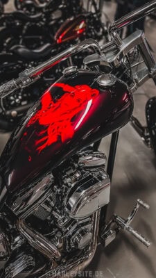 2. Platz - Jerome Plaisir Highnecker Langabel