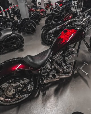 2. Platz - Jerome Plaisir Highnecker Langabel