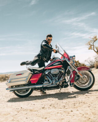 Electra Glide Highway King Harley-Davidson Icon Collection FLHFB