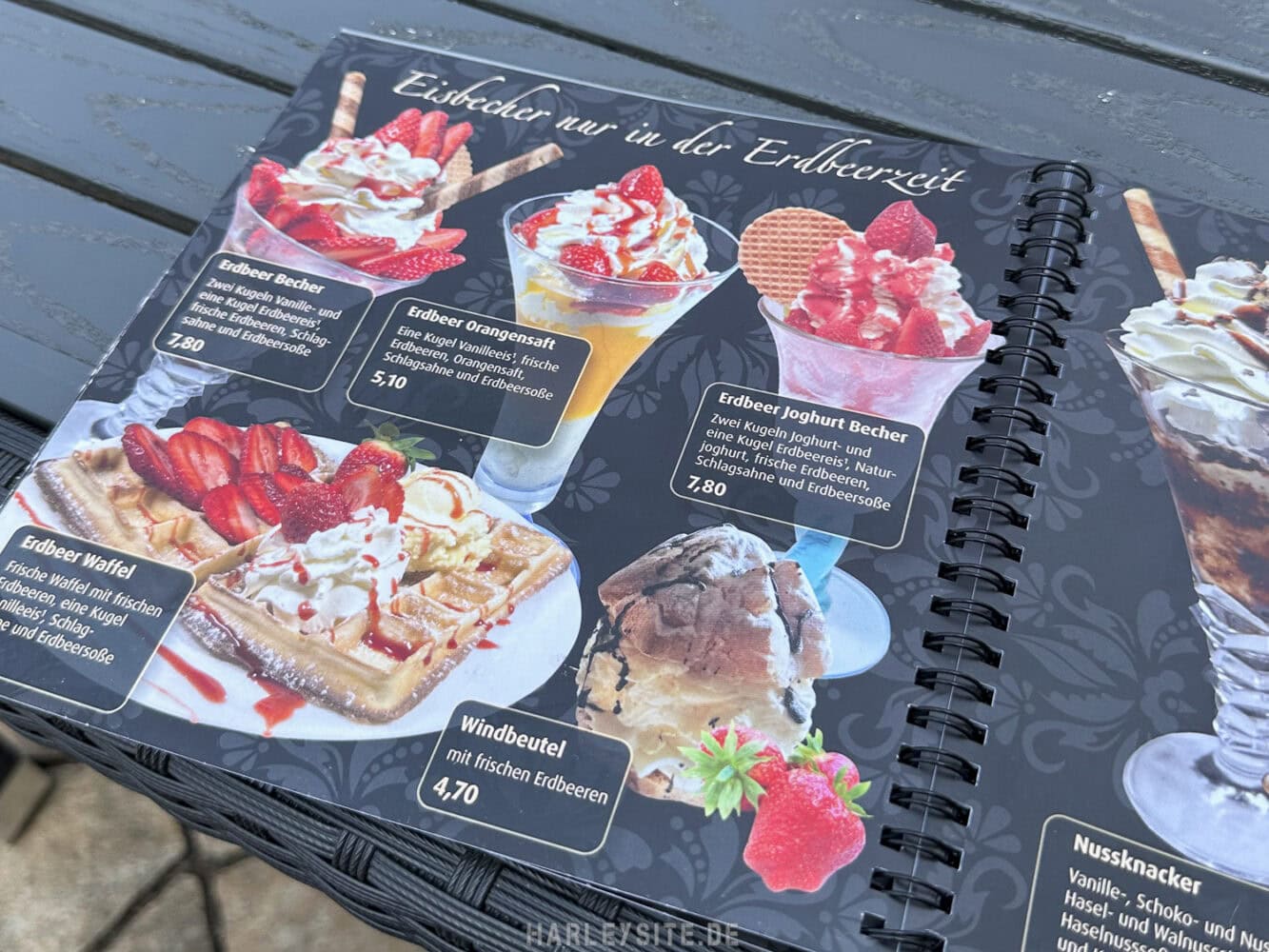 Tour 2 – Tharandter Wald - Altenberg – „Die Lange“ - Harley Days Dresden Tour 2 – Tharandter Wald - Altenberg – „Die Lange“ - Harley Days Dresden