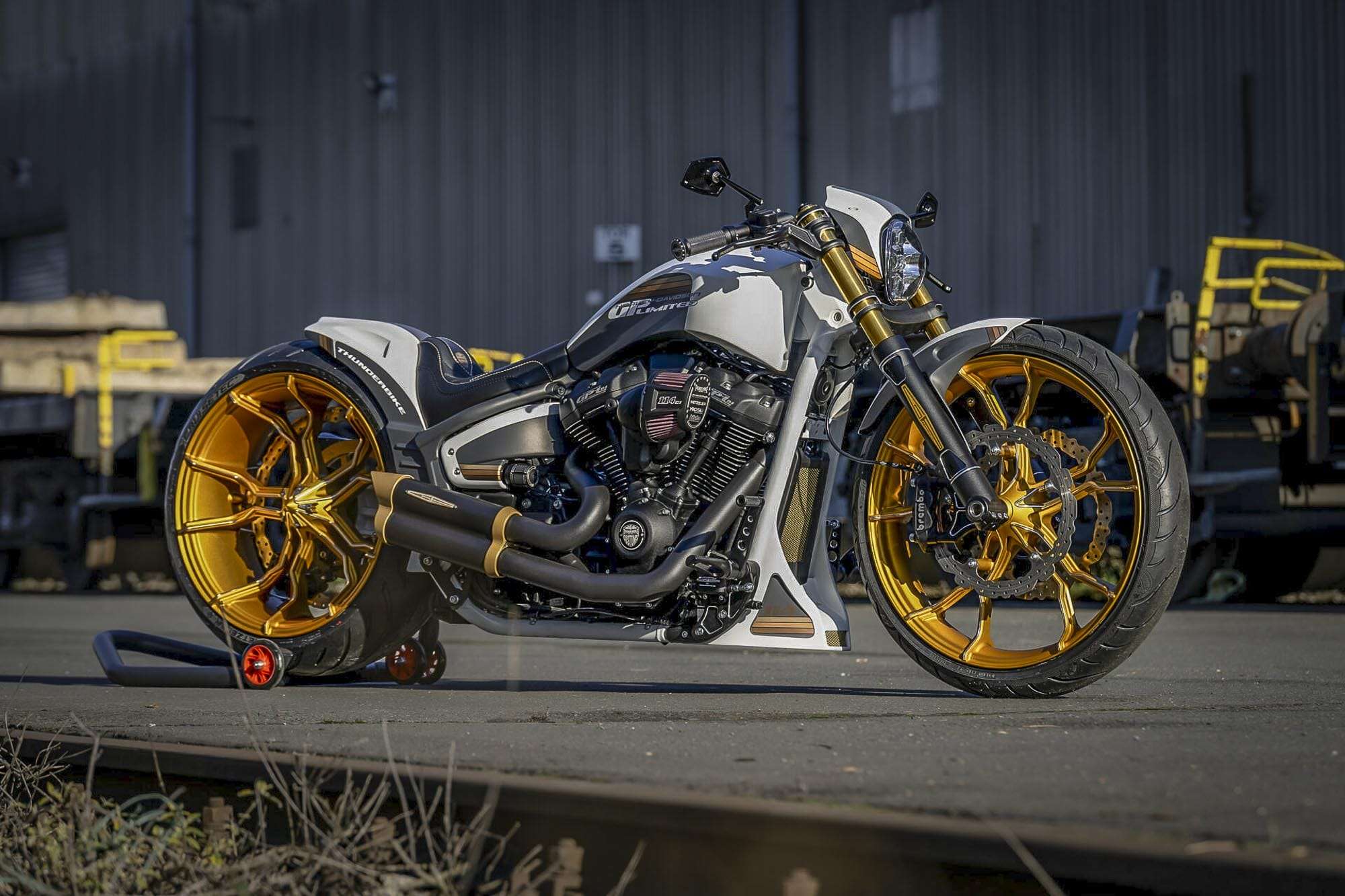 Side view | Thunderbike GP Limited Custom Bike.