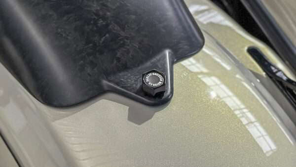 Das Carbon Cover und die standesgemäße Schraube.