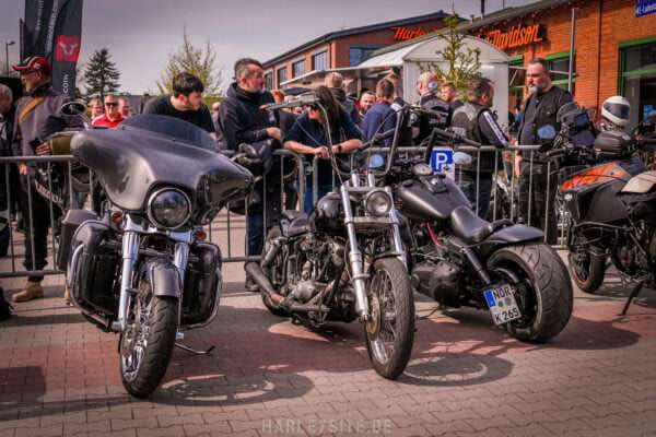 REVIEW - FRÜHLINGSTREFF AUGUSTFEHN 2024