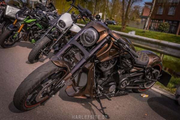 REVIEW - FRÜHLINGSTREFF AUGUSTFEHN 2024