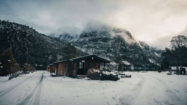 CVO STREET GLIDE UND DAS FAHRWERK