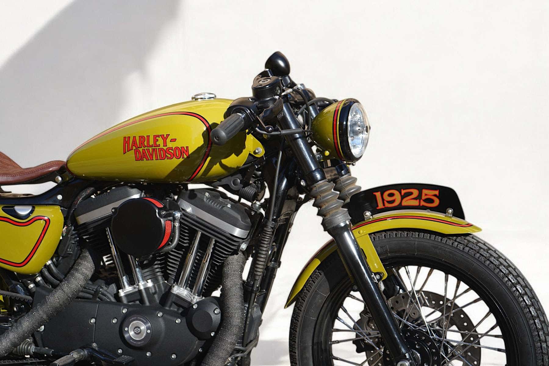 Fran Manen - IRON 1925 Sportster conversion
