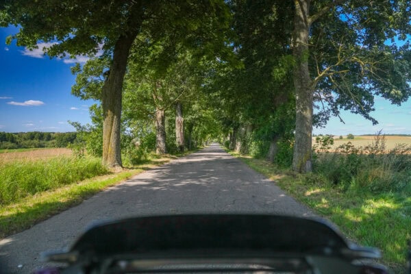 Mit der CVO Street Glide 2025 quer durch Polen Schöne Landstraße mit Bäumen gesäumt