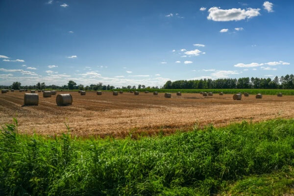 Mit der CVO Street Glide 2025 quer durch Polen Mit der CVO Street Glide 2025 quer durch Polen
