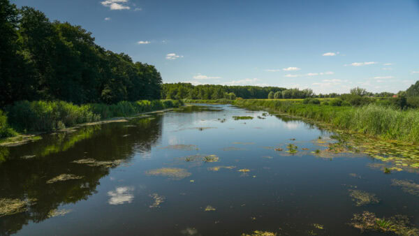 Mit der CVO Street Glide 2025 quer durch Polen Mit der CVO Street Glide 2025 quer durch Polen