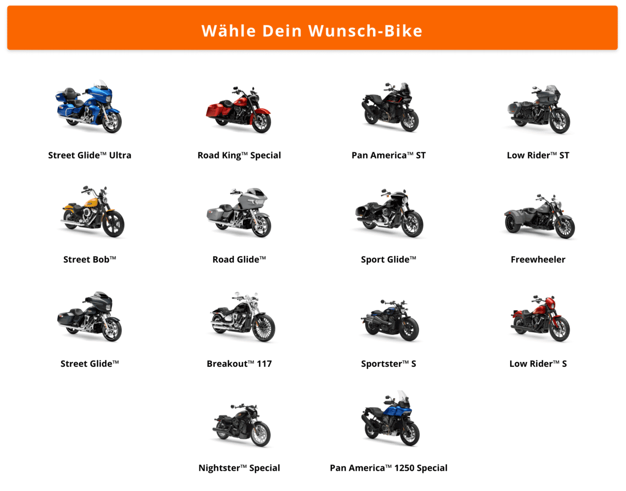 Autumn gathering in Augustfehn 2025 Autumn gathering in Augustfehn 2025