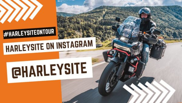 Harleysite Instagram Feed