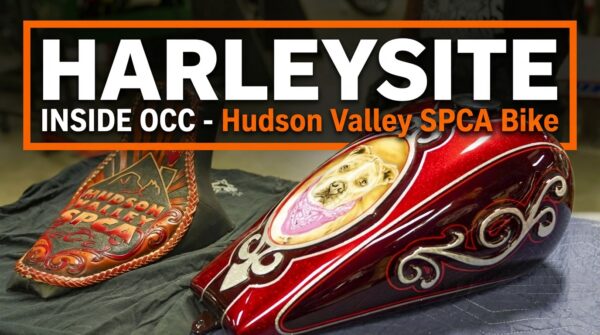 Hand-painted tank and seat of the OCC Hudson Valley SPCA bike with animal motif, created by Orange County Choppers for a charity project to benefit the Hudson Valley SPCA.